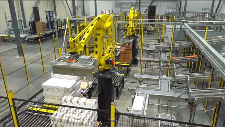 Alba Manufacturing – Ice Cream Palletizing System Alba Manufacturing - Ice Cream Palletizing System