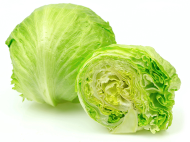 Alba Manufacturing – “Lettuce” Explain Why Stainless Steel Construction Isn’t Always a Washdown Requirement Alba Manufacturing - “Lettuce” Explain Why Stainless Steel Construction Isn't Always a Washdown Requirement
